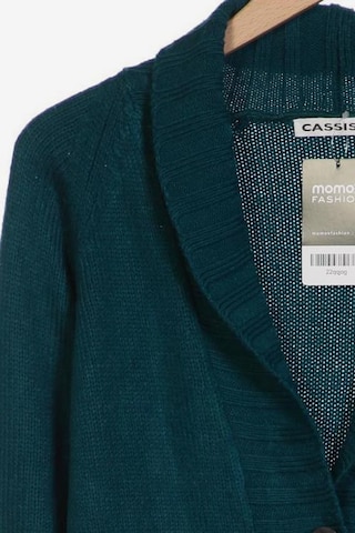 Cassis Sweater & Cardigan in XL in Green