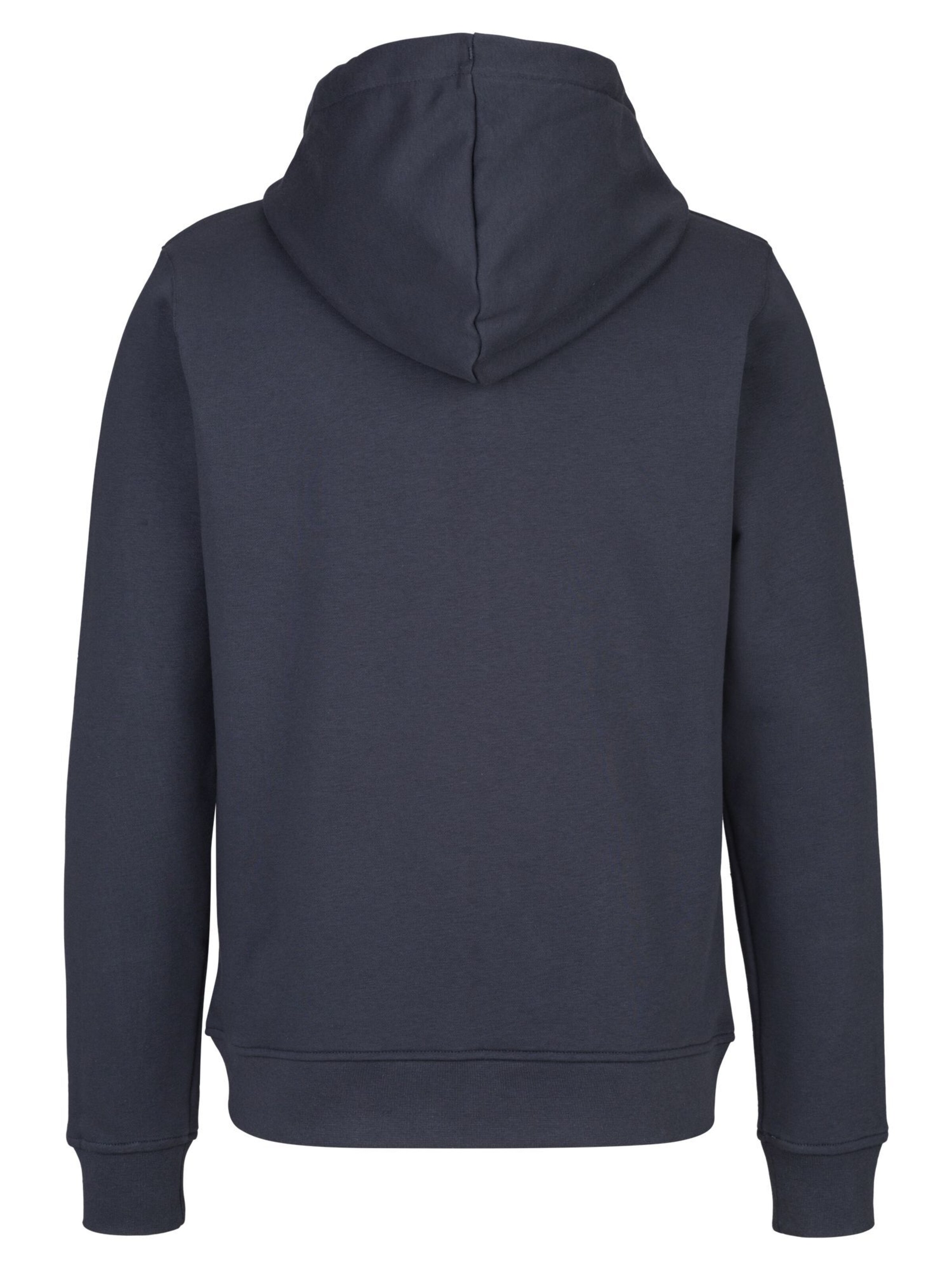 REPLAY Sweatshirt in Blue