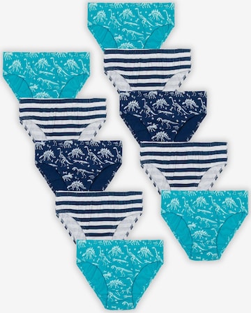 MINOTI Underpants in Blue: front