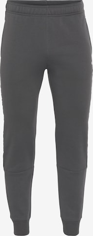 Champion Authentic Athletic Apparel Pants in Grey: front