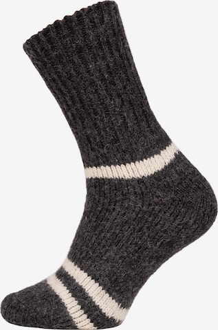 HomeOfSocks Socks 'HOS954' in Grey: front