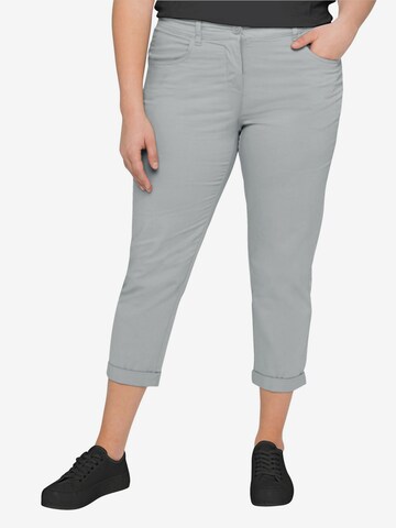 SHEEGO Slim fit Pants in Grey: front