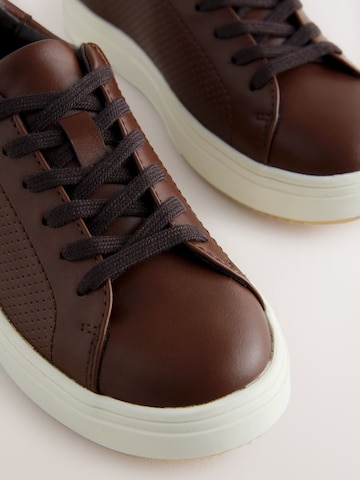 Next Sneakers in Bruin