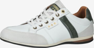 Sneaker bassa di PANTOFOLA D'ORO in bianco: frontale