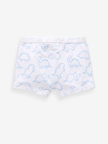 Next Underpants in White