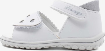 Chaussures ouvertes PRIMIGI en blanc