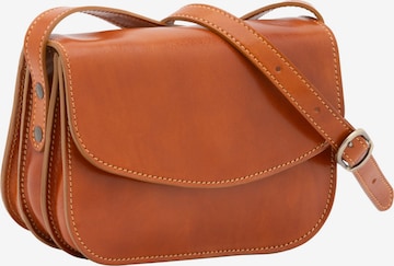 Viola Castellani Crossbody Bag in Brown: front