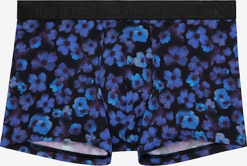 HOM Boxer shorts 'Will' in Blue: front