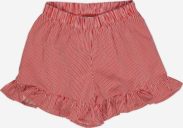 Müsli by GREEN COTTON Wide Leg Shorts in Rot: predná strana