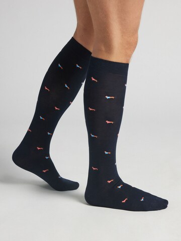 INTIMISSIMI Socken in Blau