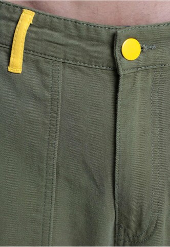 Loosefit Pantalon 'DWD Ipanema' DEF en vert