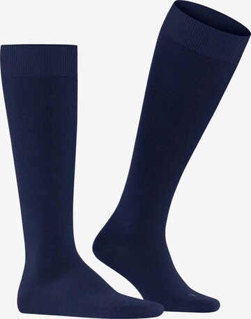 FALKE Knee High Socks 'Energizing Wool' in Blue: front