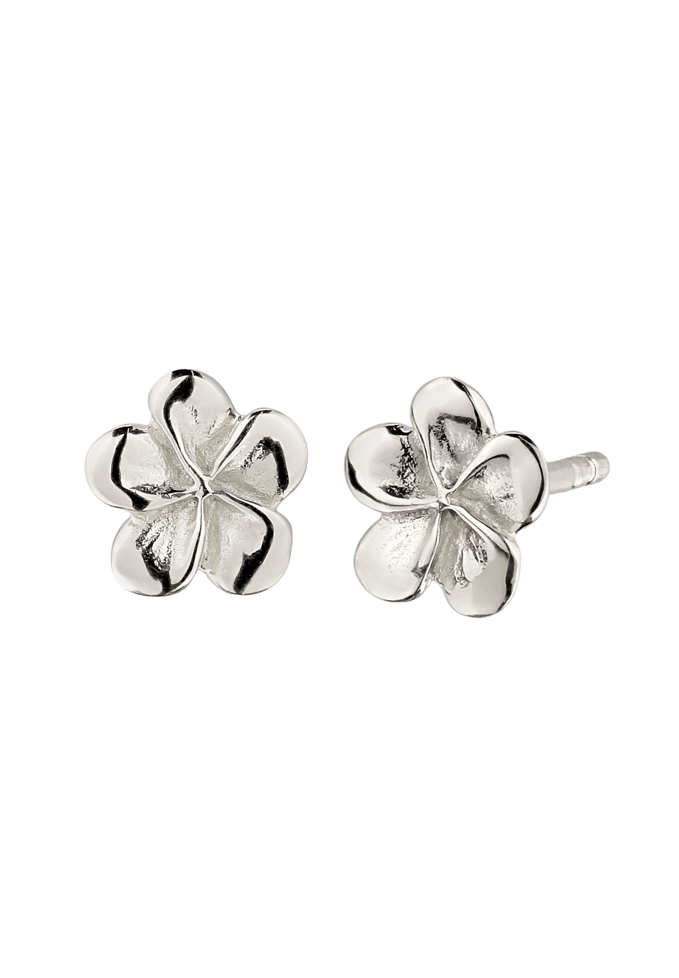 Boucles d'oreilles ELLI en argent : devant