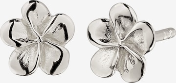 Boucles d'oreilles ELLI en argent : devant