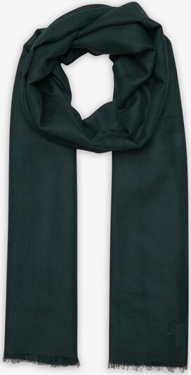 Noolur Scarf in Dark green, Item view