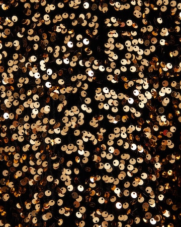 WE Fashion Юбка в Золотой