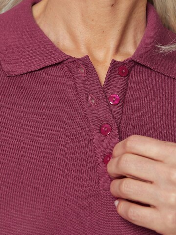 Goldner Pullover in Pink