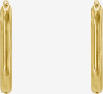 Heideman Earring 'Festus' in Gold