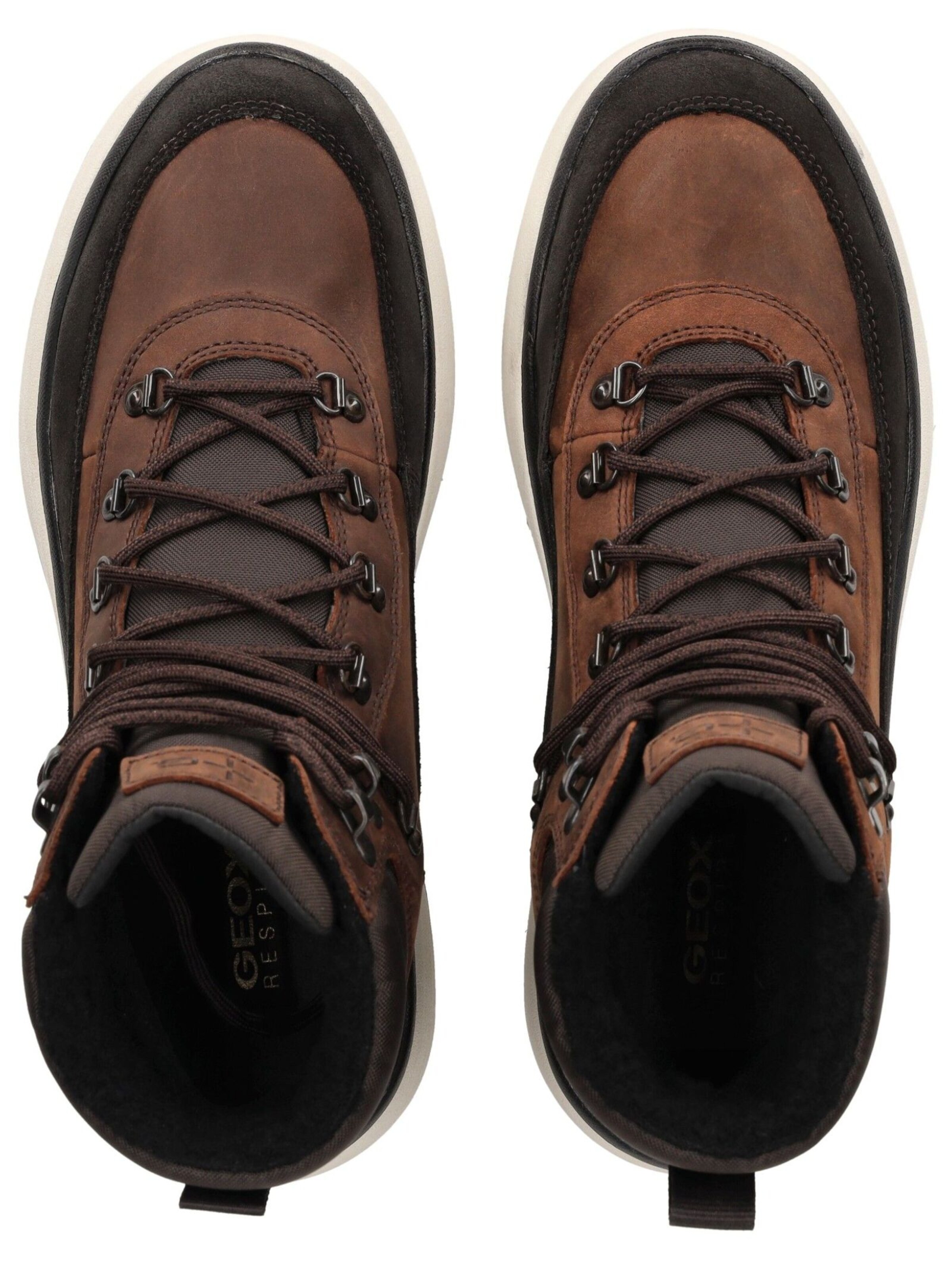 GEOX Schnürboots in Braun