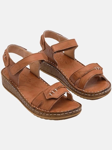 Limoya Sandals 'Damensandalen' in Brown