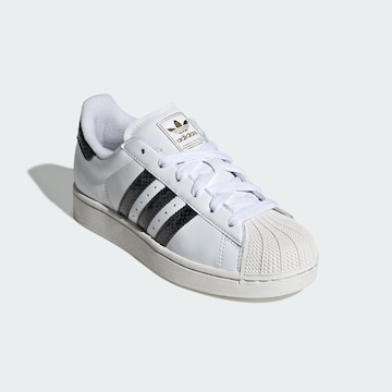 ADIDAS ORIGINALS Sneaker 'Superstar II' in Weiß