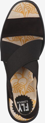 FLY LONDON Strap Sandals in Black