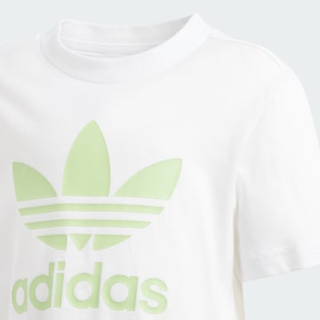 ADIDAS ORIGINALS Sweatsuit 'Adicolor' in Green