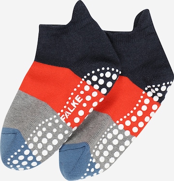 FALKE Κάλτσες 'Catspads' σε ανάμεικτα χρώματα: μπροστά
