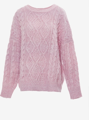 MYMO Sweater in Pink: front