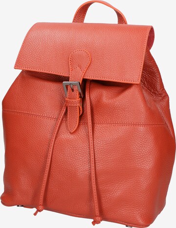 Gave Lux Backpack in Orange: front