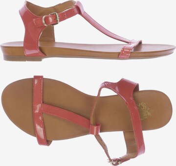 Apple of Eden Sandals & High-Heeled Sandals in 42 in Red: front