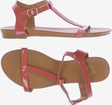 Apple of Eden Sandalen 42 in Rot: predná strana