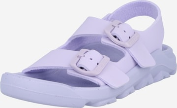 BIRKENSTOCK Sandals in Purple: front