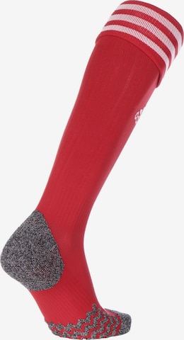 ADIDAS SPORTSWEAR Soccer Socks in Red