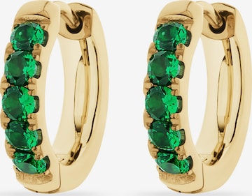 FAVS Ohrringe in Gold: Vorderseite