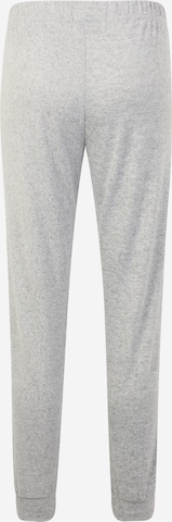 Dorothy Perkins Petite Tapered Pants in Grey