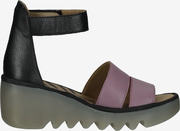 FLY LONDON Sandals in Purple