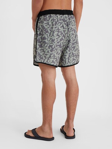 O'NEILL Boardshorts 'Og Scallop' in Groen