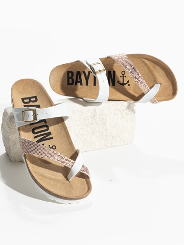 Bayton T-Bar Sandals 'Diane' in Mixed colors