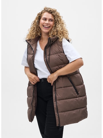 Gilet 'Carylie' Zizzi en marron : devant