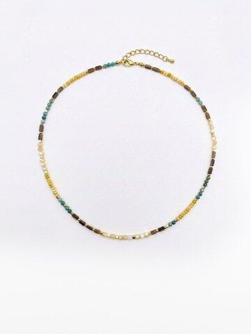 Nemomatheo Necklace in Mixed colors