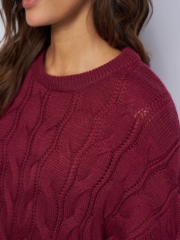 Salsa Jeans Pullover in Rot