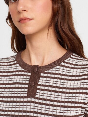 Dilvin Sweater in Brown