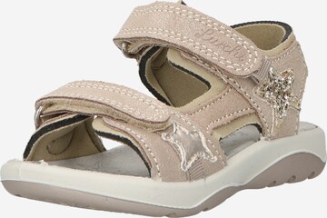 Sandales 'FIA' SALAMANDER en beige : devant