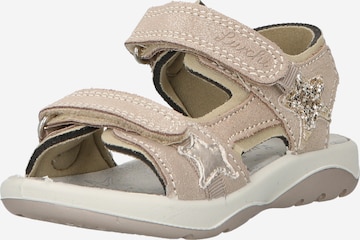 Sandales 'FIA' SALAMANDER en beige : devant