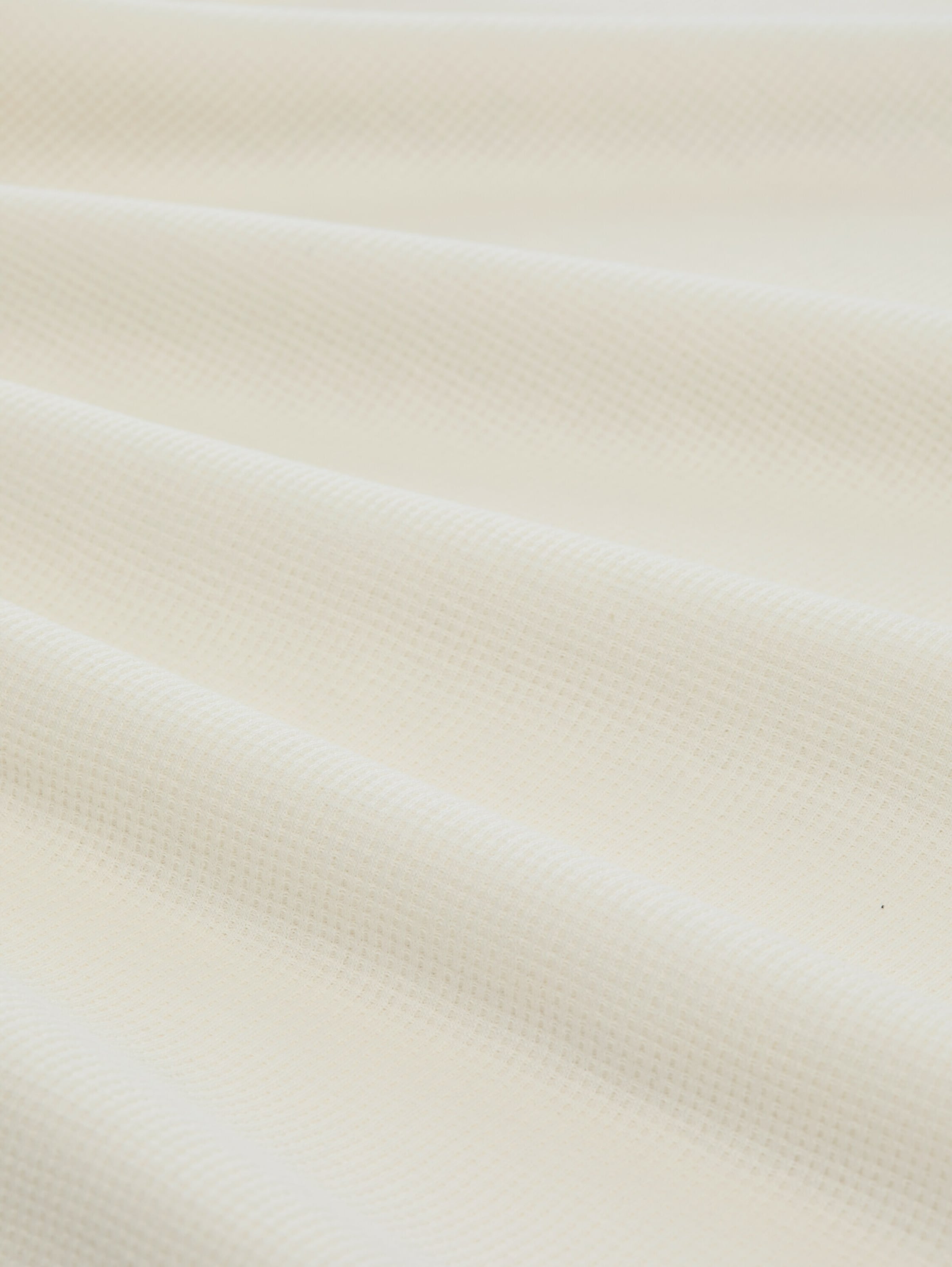 T-Shirt TOM TAILOR en blanc