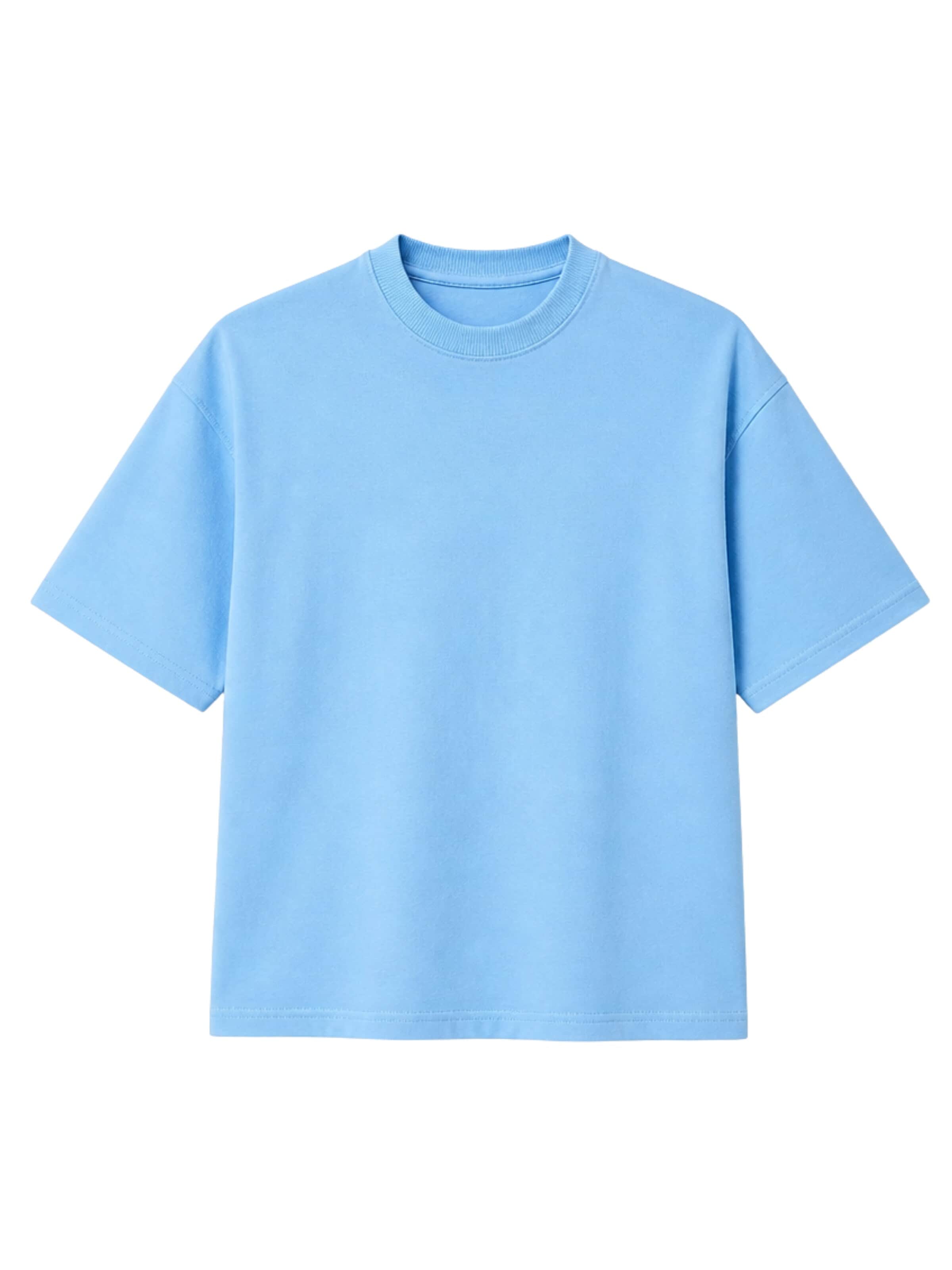 LOUIS LECLER Shirt 'Amelia' in Blau: Vorderseite