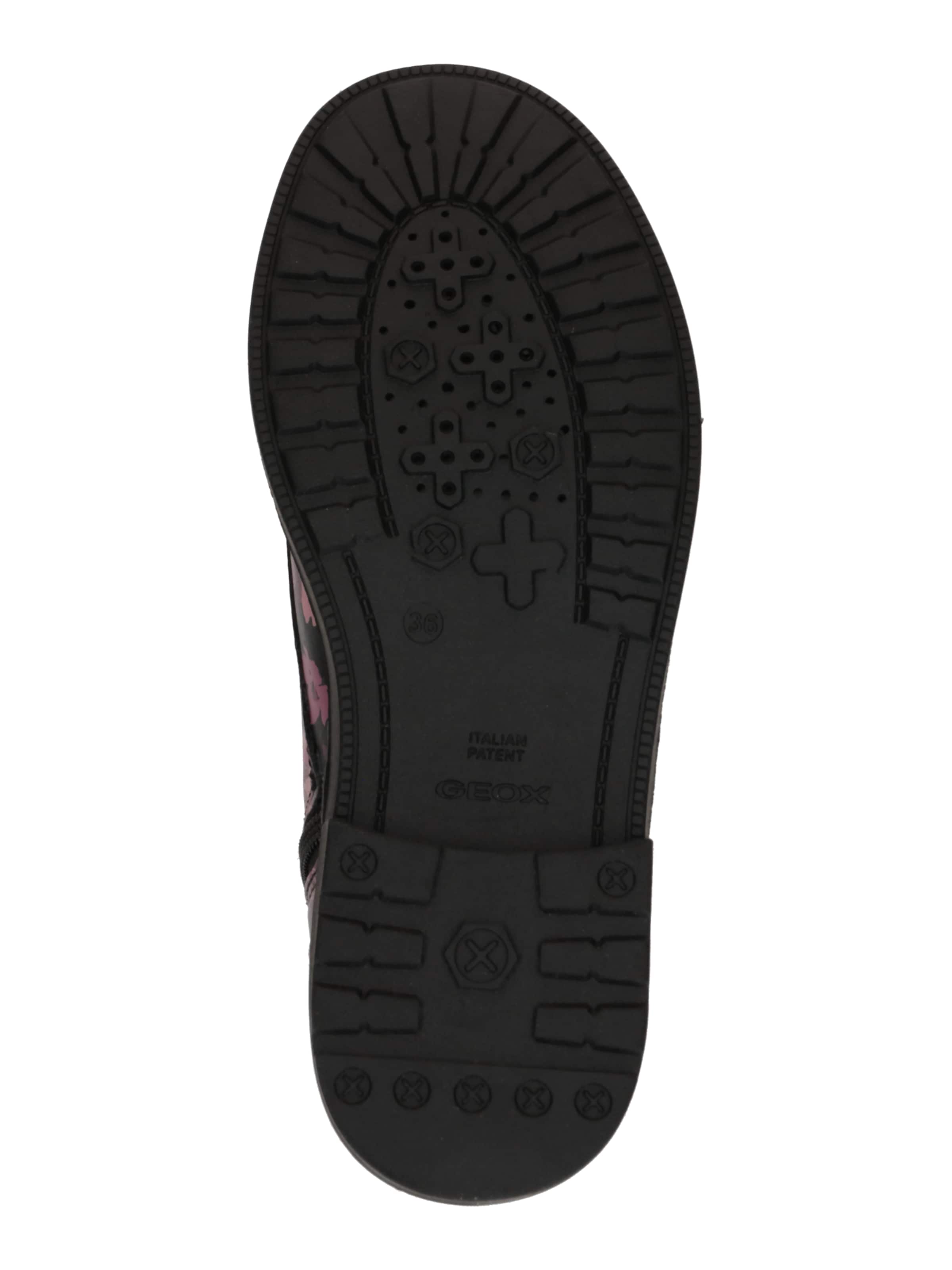 GEOX Сапоги 'Eclair' в Черный