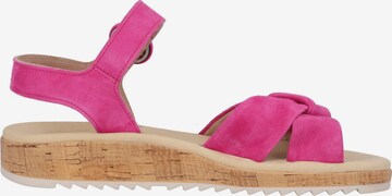 Paul Green Sandals '6105' in Pink