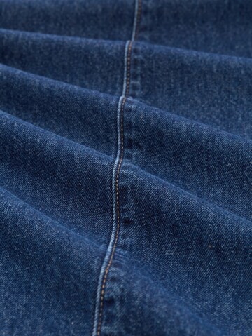 TOM TAILOR DENIM Loose fit Jeans 'ADEA BARREL' in Blue